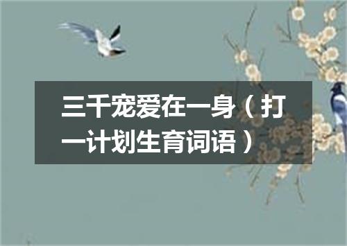 三千宠爱在一身（打一计划生育词语）