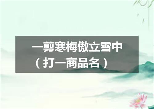 一剪寒梅傲立雪中（打一商品名）