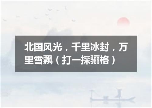 北国风光，千里冰封，万里雪飘（打一探骊格）