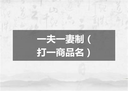 一夫一妻制（打一商品名）