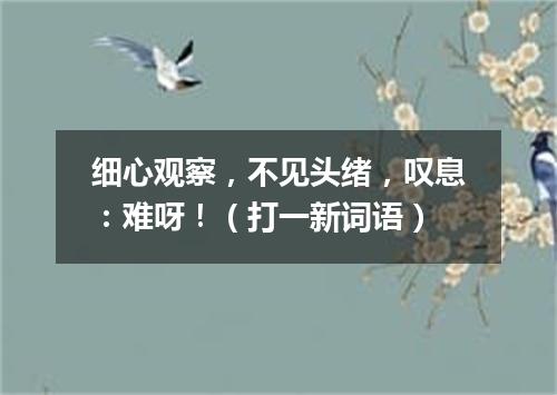 细心观察，不见头绪，叹息：难呀！（打一新词语）