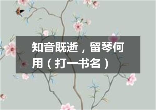 知音既逝，留琴何用（打一书名）
