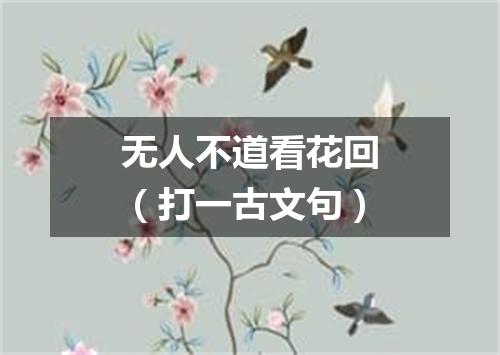 无人不道看花回（打一古文句）