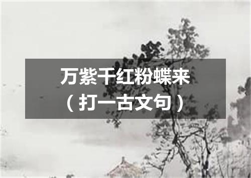 万紫千红粉蝶来（打一古文句）