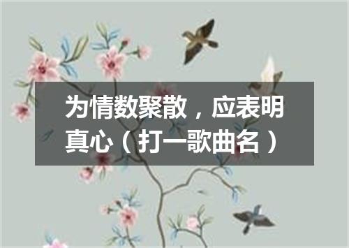 为情数聚散，应表明真心（打一歌曲名）