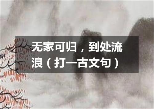 无家可归，到处流浪（打一古文句）