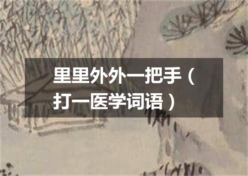 里里外外一把手（打一医学词语）