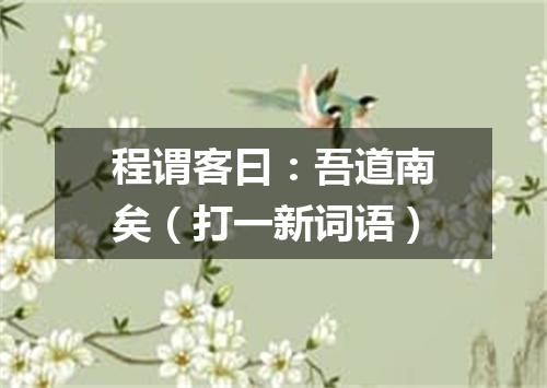 程谓客曰：吾道南矣（打一新词语）