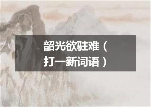 韶光欲驻难（打一新词语）