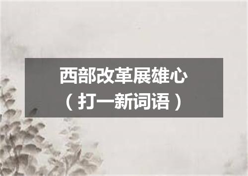 西部改革展雄心（打一新词语）
