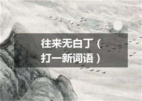往来无白丁（打一新词语）