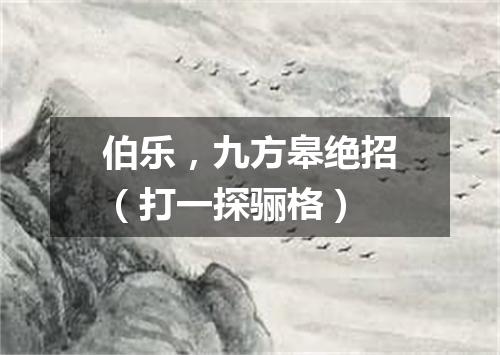 伯乐，九方皋绝招（打一探骊格）