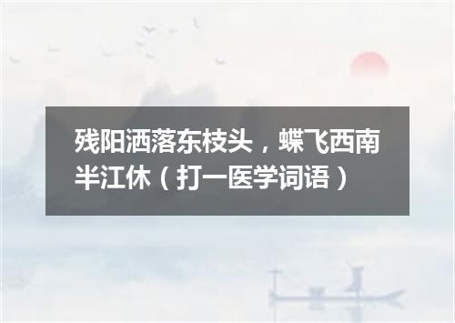 残阳洒落东枝头，蝶飞西南半江休（打一医学词语）