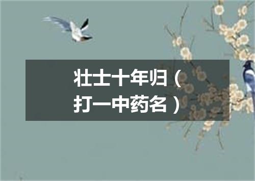 壮士十年归（打一中药名）