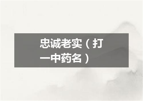 忠诚老实（打一中药名）