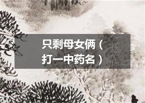 只剩母女俩（打一中药名）