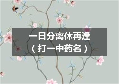 一日分离休再逢（打一中药名）