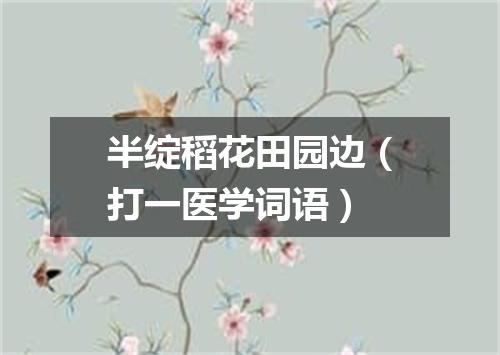 半绽稻花田园边（打一医学词语）