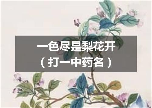 一色尽是梨花开（打一中药名）