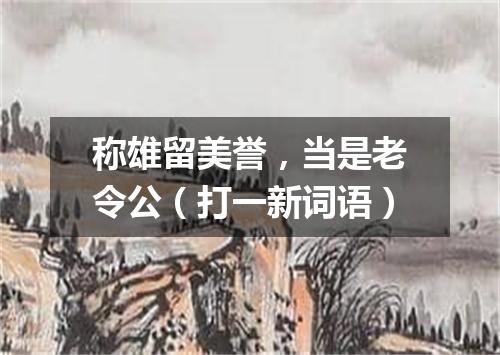称雄留美誉，当是老令公（打一新词语）