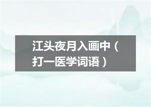 江头夜月入画中（打一医学词语）