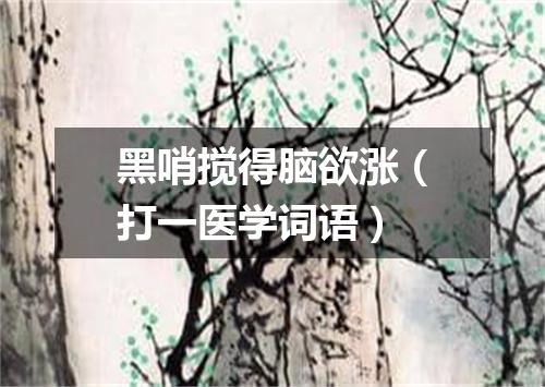 黑哨搅得脑欲涨（打一医学词语）