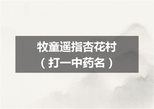 牧童遥指杏花村（打一中药名）