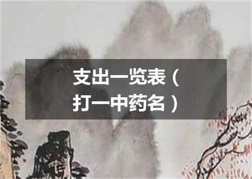 支出一览表（打一中药名）