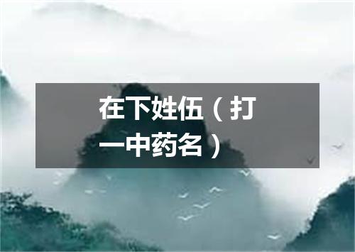 在下姓伍（打一中药名）