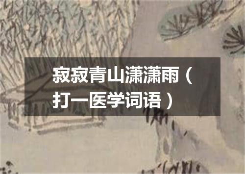 寂寂青山潇潇雨（打一医学词语）