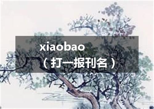 xiaobao（打一报刊名）