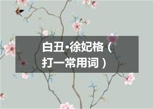 白丑·徐妃格（打一常用词）