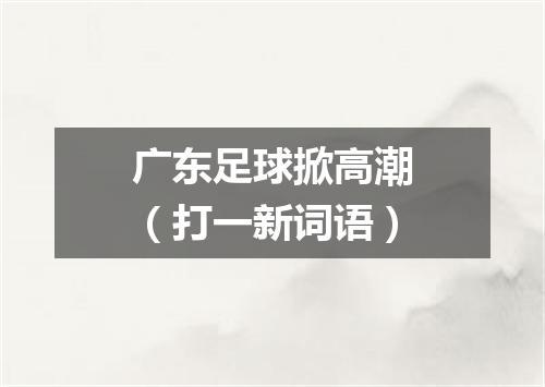 广东足球掀高潮（打一新词语）