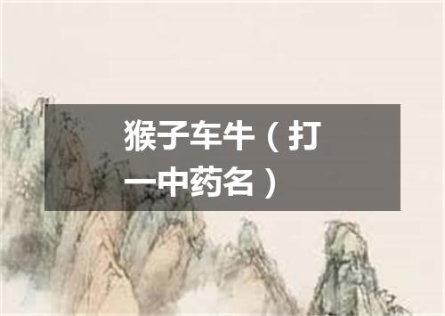 猴子车牛（打一中药名）