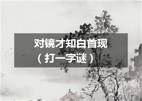 对镜才知白首现（打一字谜）