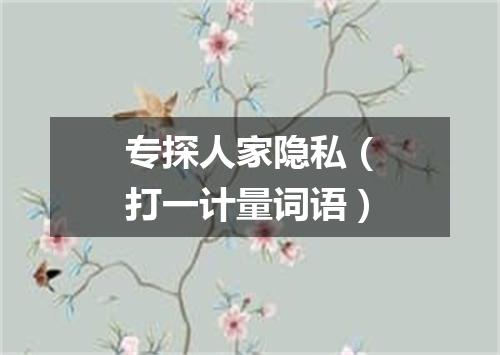 专探人家隐私（打一计量词语）