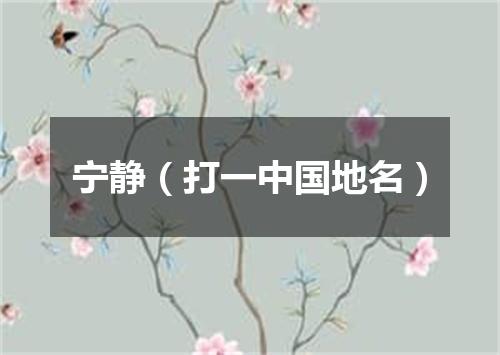 宁静（打一中国地名）