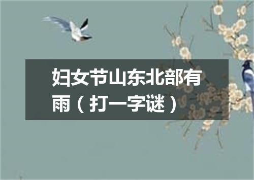 妇女节山东北部有雨（打一字谜）