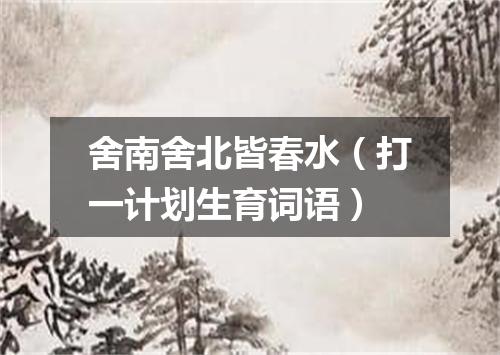 舍南舍北皆春水（打一计划生育词语）