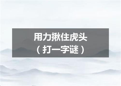 用力揪住虎头（打一字谜）