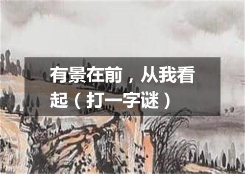 有景在前，从我看起（打一字谜）
