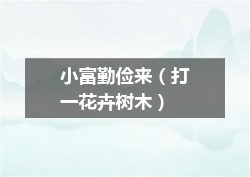 小富勤俭来（打一花卉树木）