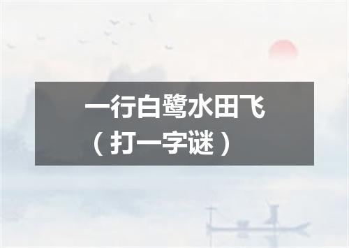 一行白鹭水田飞（打一字谜）