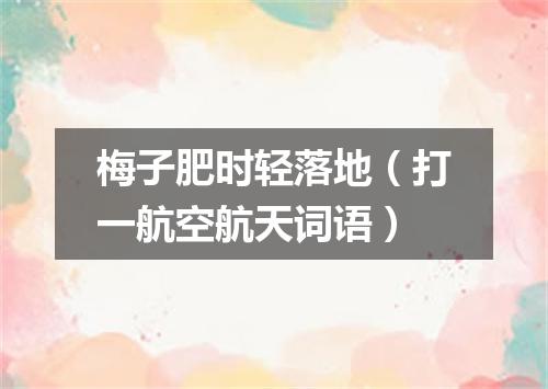 梅子肥时轻落地（打一航空航天词语）