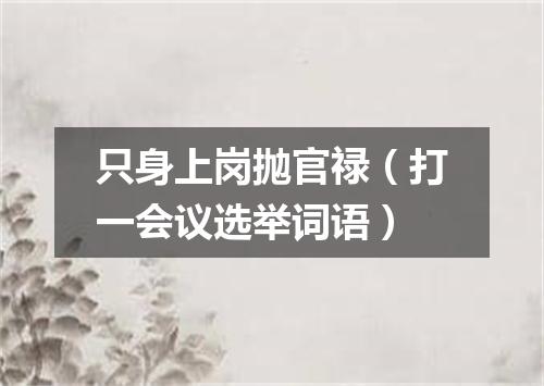只身上岗抛官禄（打一会议选举词语）