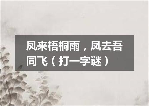 凤来梧桐雨，凤去吾同飞（打一字谜）