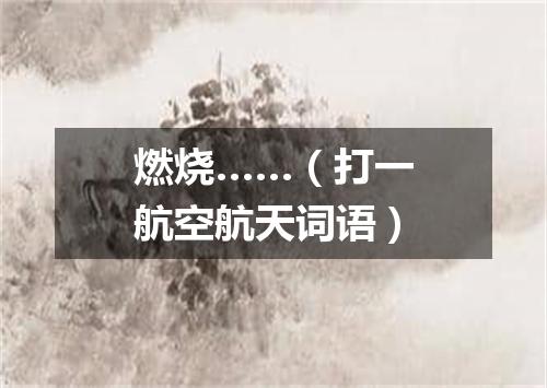燃烧……（打一航空航天词语）