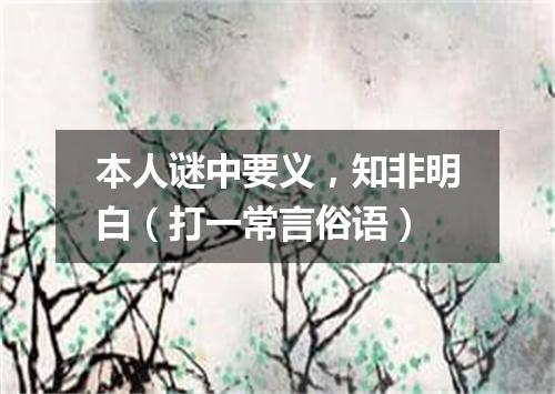 本人谜中要义，知非明白（打一常言俗语）