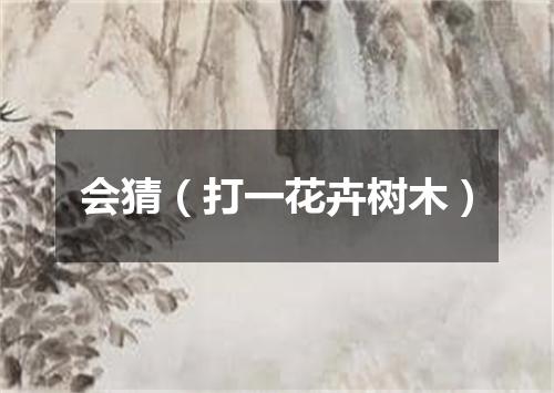 会猜（打一花卉树木）