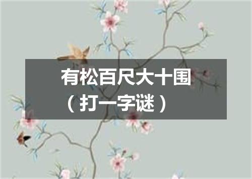有松百尺大十围（打一字谜）